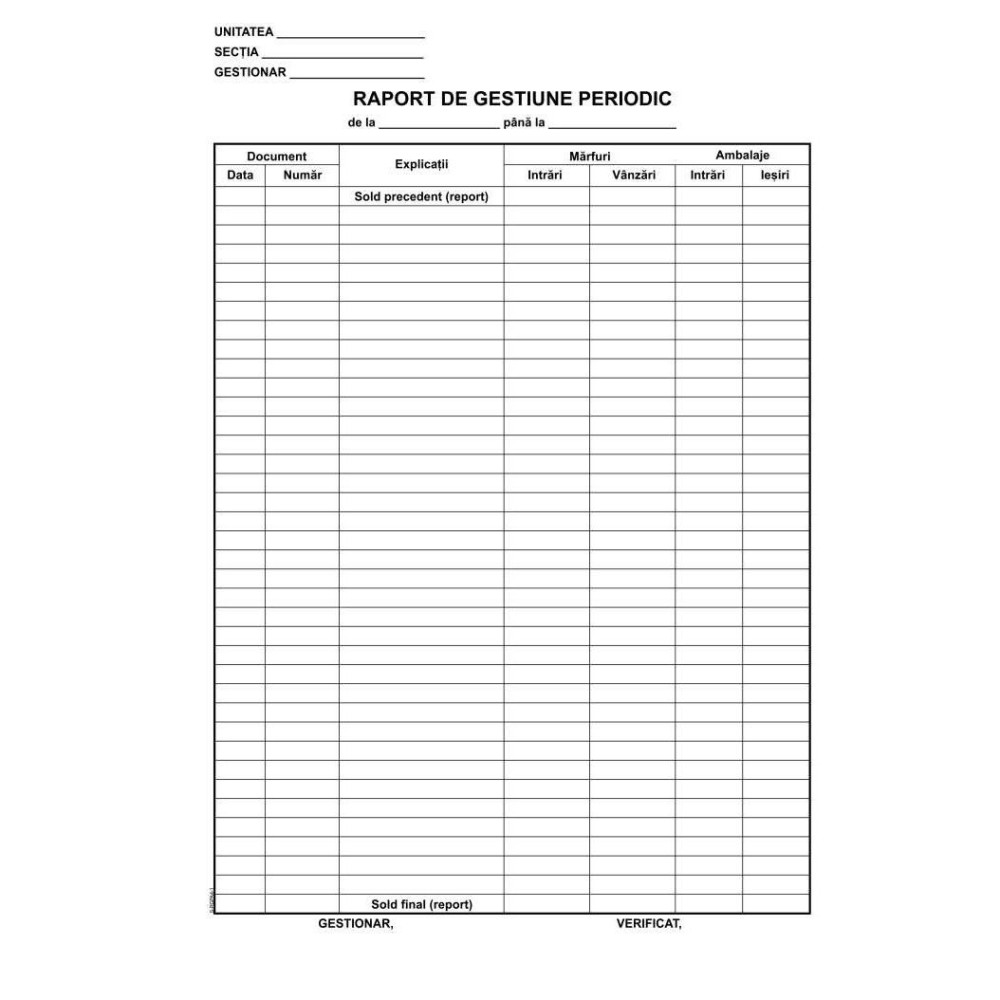 Raport  Gestiune Zilnic L03486